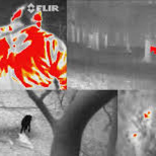 Thermal Imaging Cameras: A Game-Changer in Anti-Poaching Efforts
